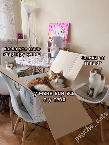 Смешная картинка №760662