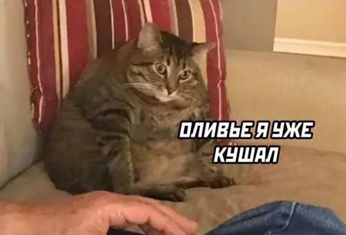 Смешная картинка №571744