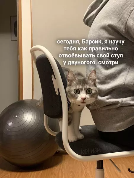 Смешная картинка №497177 Когда ты умеешь добиваться того, что тебе нужно