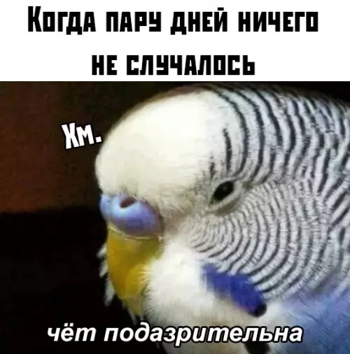 Смешная картинка №394698
