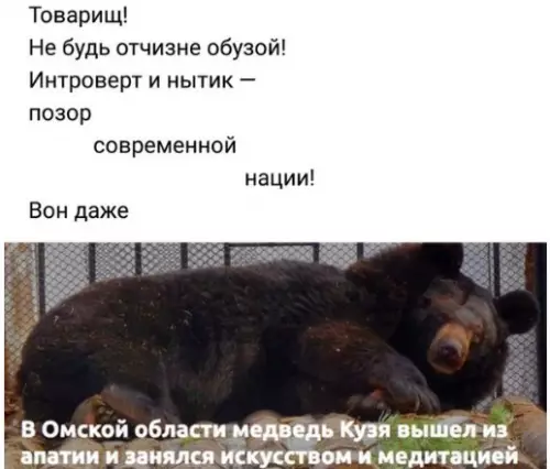 Смешная картинка №272328 Вижу рифмы