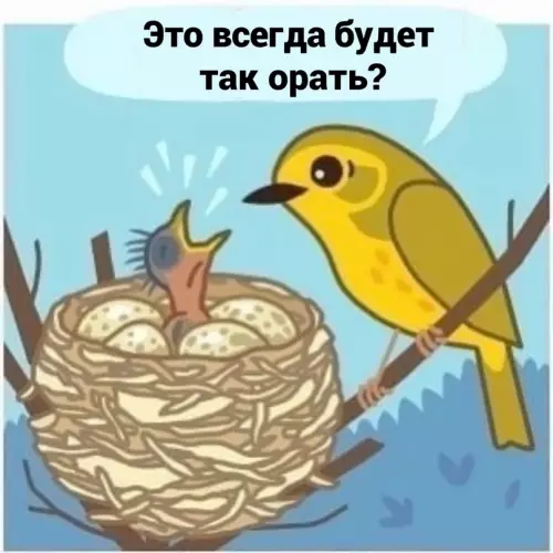 продолжение Смешная картинка №631397 Бyдни мaтepи