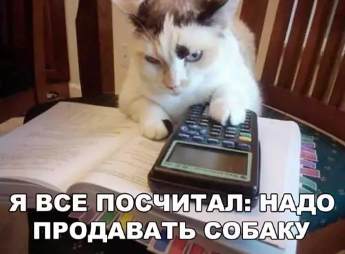Смешная картинка №666395 Коты