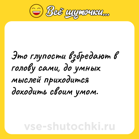 Шутка: Это глупости взбредают в голову сами, до умных мыслей приходится доходить своим умом.