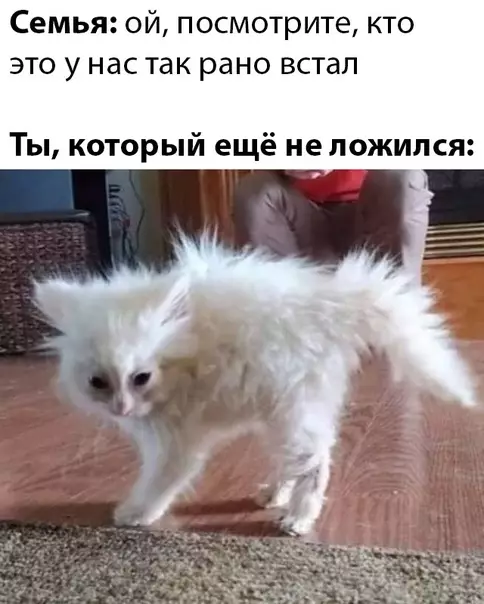 Смешная картинка №493410