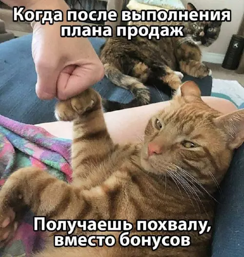 Смешная картинка №684013