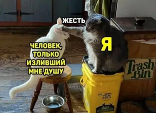 Смешная картинка №771186