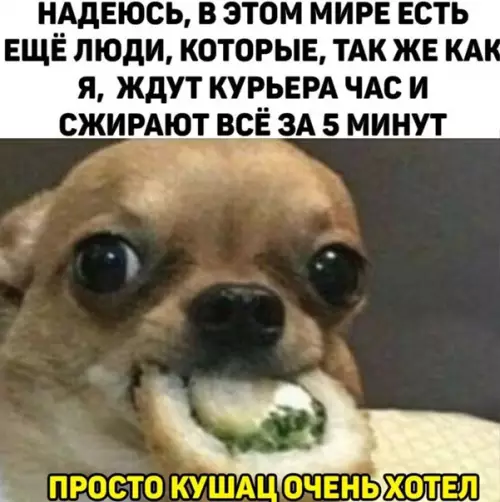 Смешная картинка №542704