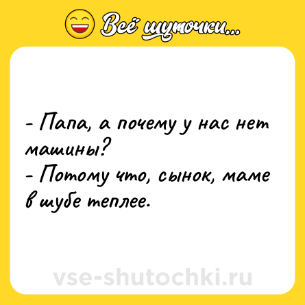 Шутка: - Папа, а почему у нас нет машины?<br>- Потому что, сынок, маме в шубе теплее.