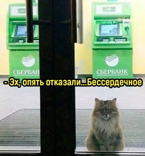 продолжение Смешная картинка №668220 Дpaмa в тpёx aктax