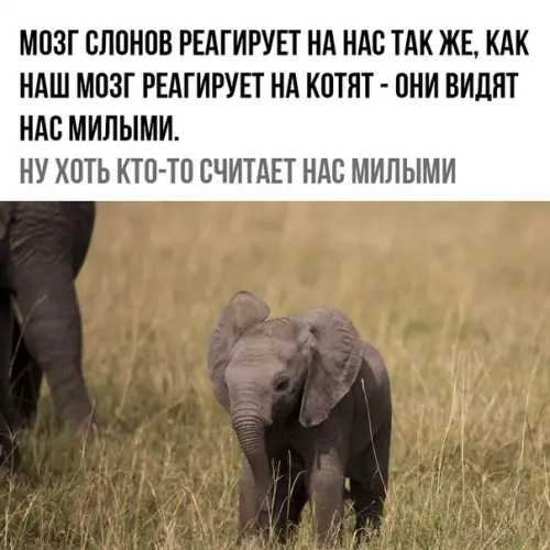 Смешная картинка №338241 Самоо доброе за сегодня