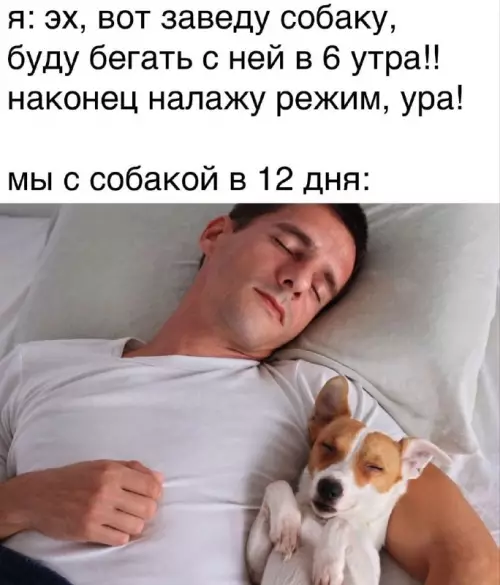 Смешная картинка №682296