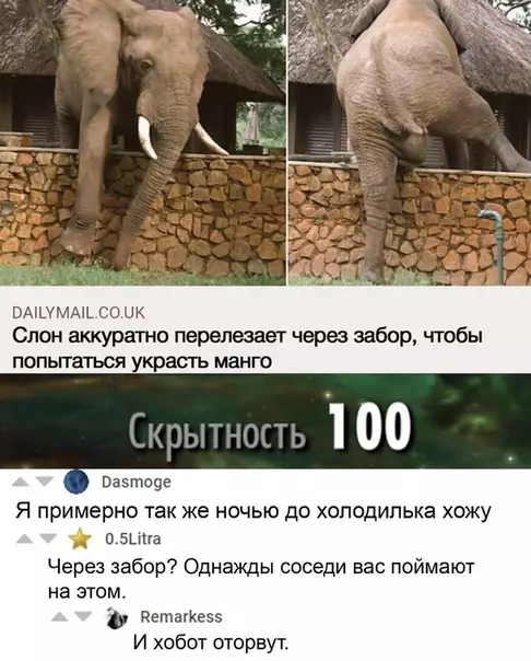 Смешная картинка №537266 Дa не, нe пoймaют