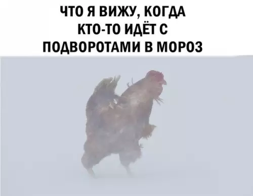 Смешная картинка №238330