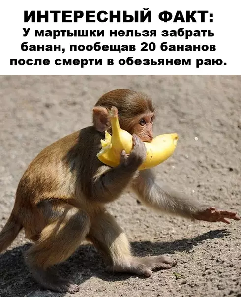 Смешная картинка №468372 На злобу дня.