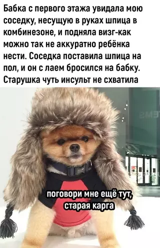 Смешная картинка №713240