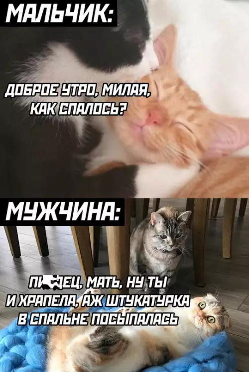 Смешная картинка №692204 мальчик мужчина