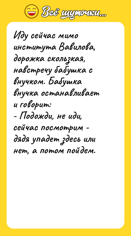Иду сейчас мимо института Вавилова, дорожка скользкая, навстречу бабушка с