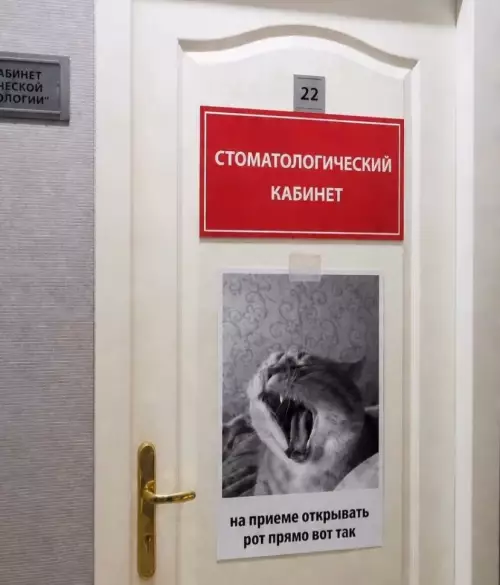 Инструкция для похода к стоматологу 🦷😂 - СТОМАТОЛОГИЧЕСКИЙ КАБИНЕТ на приеме открывать рот прямо вот так