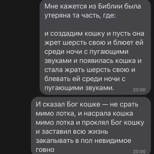 Смешная картинка №603155 кошки