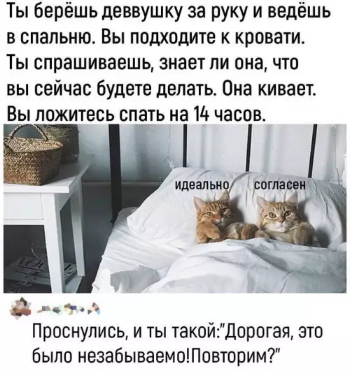 Смешная картинка №738881 Идеально 