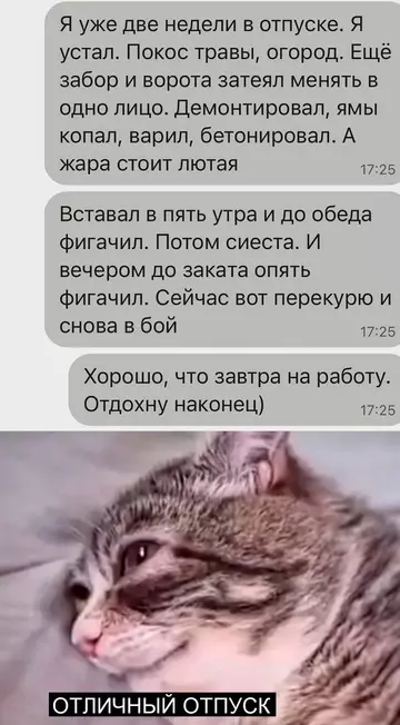 Смешная картинка №771301 Отпуск