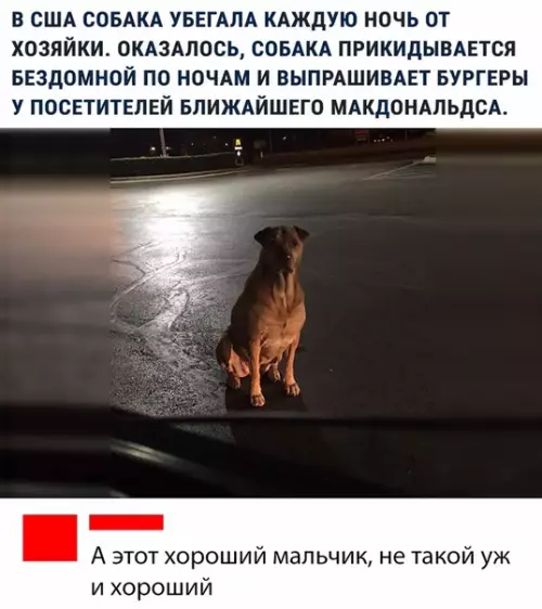 Смешная картинка №310608