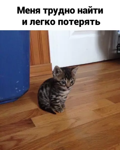 Смешная картинка №535688