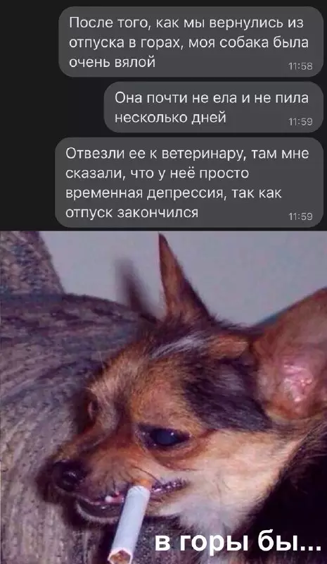 Смешная картинка №684817
