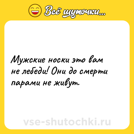 Шутка: Мужские носки это вам не лебеди! Они до смерти парами не живут.