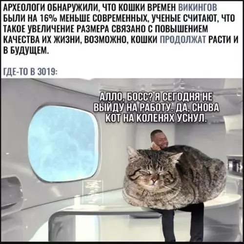 Смешная картинка №780953