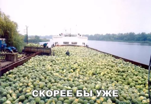 Смешная картинка №283784