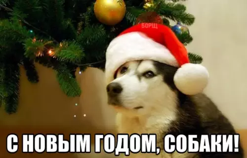Смешная картинка №236178