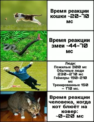 Смешная картинка №687360