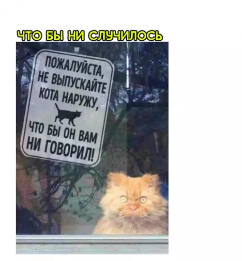 Смешная картинка №285659