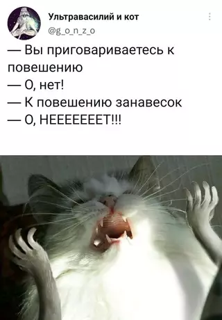 Смешная картинка №652232