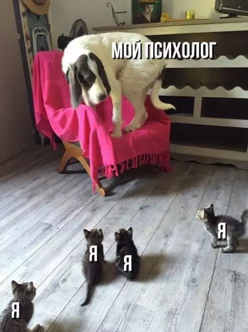 Смешная картинка №713528