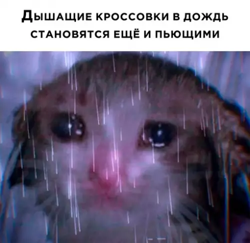 Смешная картинка №698858