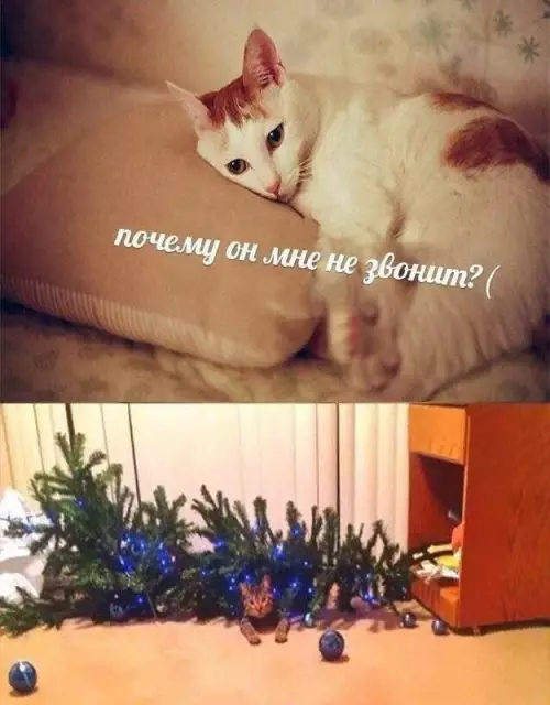 Смешная картинка №664927 почему он не звонит