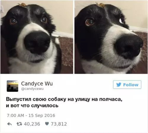 Смешная картинка №261076