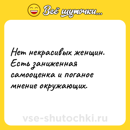 Шутка: Нет некрасивых женщин. Есть заниженная самооценка и поганое мнение окружающих.