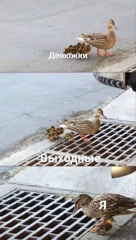 Смешная картинка №677174