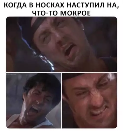 Смешная картинка №458446 Надеешься что это не саки кота