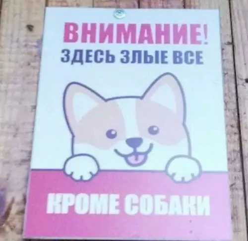 Смешная картинка №748441 Внимание  Знаки