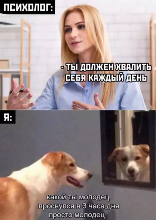 Смешная картинка №654813