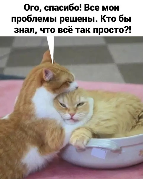 продолжение Смешная картинка №572483