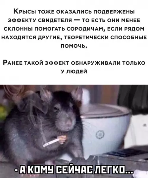 Смешная картинка №505727