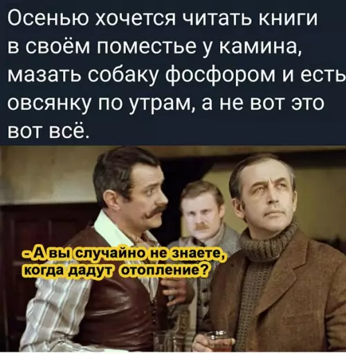Смешная картинка №534115 Прям мысли мои читает....