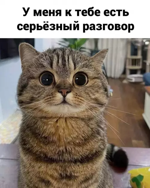 Смешная картинка №724544