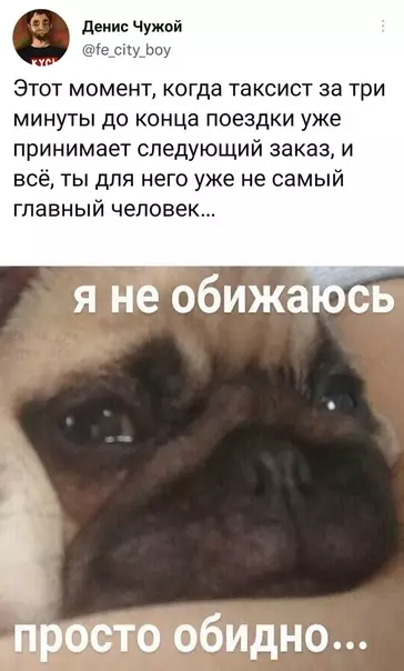 Смешная картинка №618930